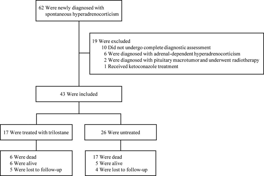Figure 1 Flowchart of cases.